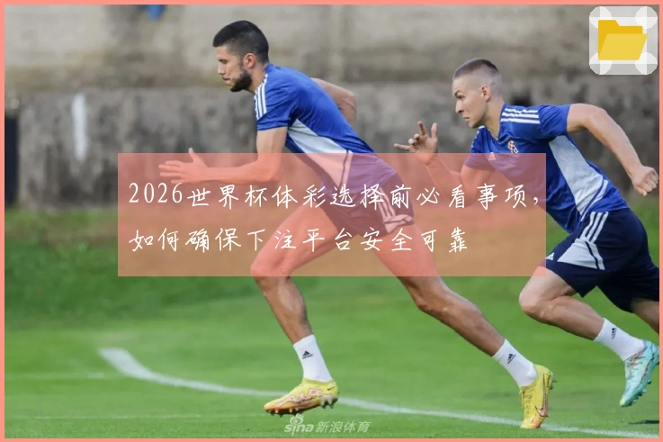 2026世界杯体彩选择前必看事项，如何确保下注平台安全可靠