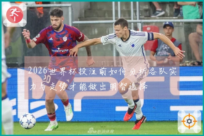 2026世界杯投注前如何分析各队实力与走势才能做出明智选择