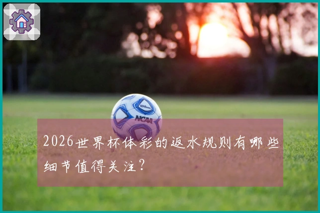 2026世界杯体彩的返水规则有哪些细节值得关注？