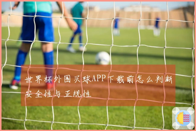 世界杯外围买球APP下载前怎么判断安全性与正规性