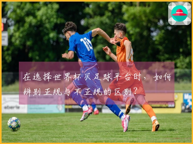 在选择世界杯买足球平台时，如何辨别正规与不正规的区别？